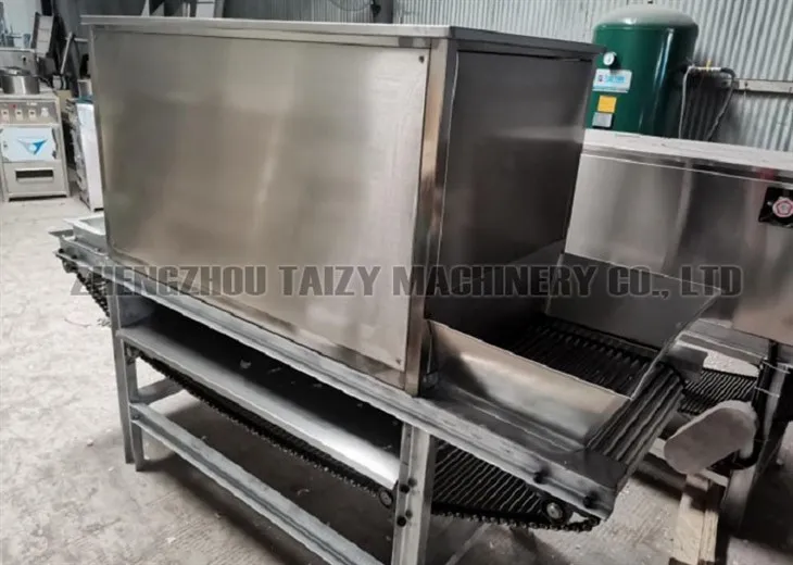 onion peeling machine-5