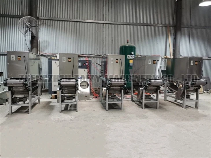 onion peeling machine-4