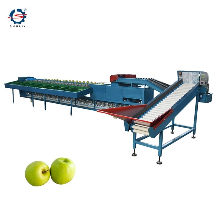 Apple weight sorting machine