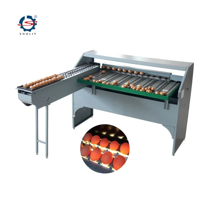 egg grading Sorting machine3