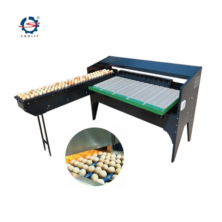 egg grading Sorting machine5