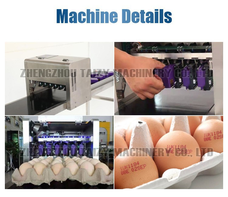egg stamping machine egg stamping machine