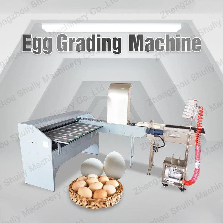 egg grading Sorting machine egg grading Sorting machine