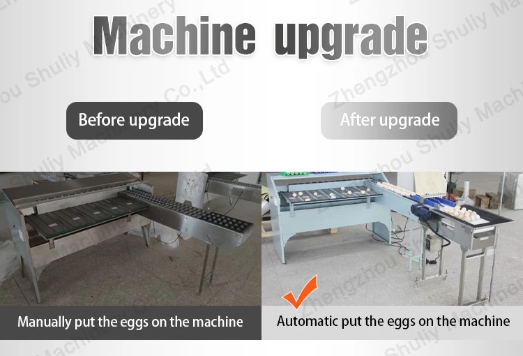 egg grading Sorting machine egg grading Sorting machine