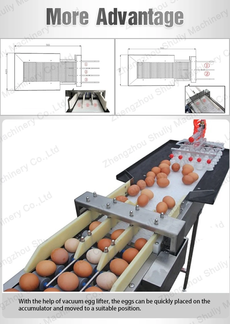 egg grading Sorting machine egg grading Sorting machine