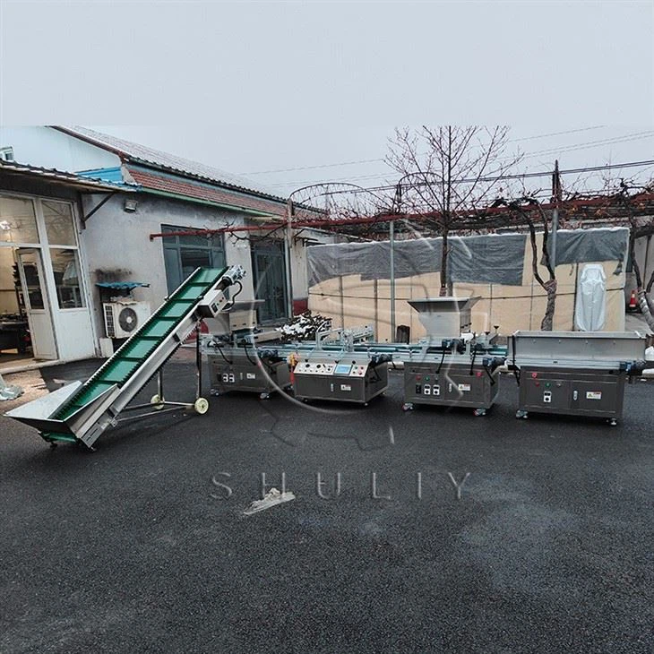 Seed Tray Filling Machine